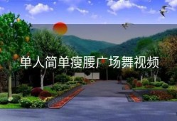 单人简单瘦腰广场舞视频