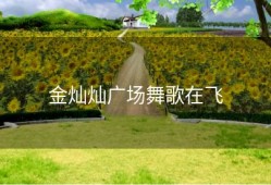 金灿灿广场舞歌在飞