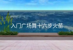 入门广场舞十六步火苗