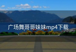 广场舞哥哥妹妹mp4下载