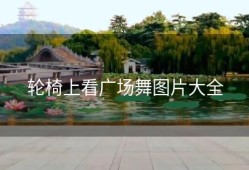 轮椅上看广场舞图片大全