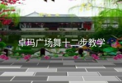 卓玛广场舞十二步教学