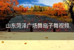 山东菏泽广场舞扇子舞视频