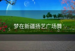 梦在新疆扬艺广场舞