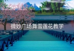 微妙广场舞雪莲花教学