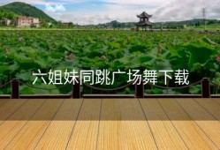 六姐妹同跳广场舞下载