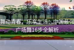 舞动青春，乐享生活：中国最强广场舞16步全解析