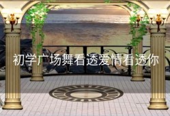 初学广场舞看透爱情看透你