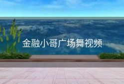 金融小哥广场舞视频