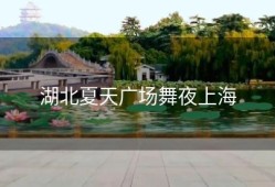 湖北夏天广场舞夜上海