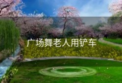 广场舞老人用铲车