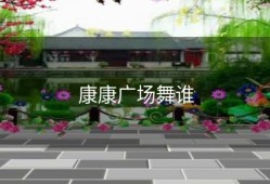 康康广场舞谁