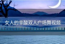 女人的辛酸双人广场舞视频