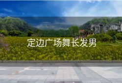 定边广场舞长发男