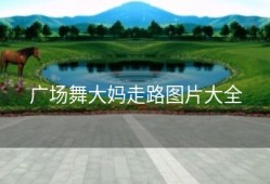 广场舞大妈走路图片大全