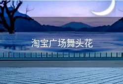 淘宝广场舞头花