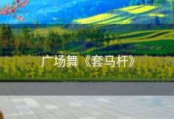 广场舞《套马杆》