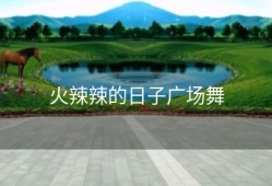 火辣辣的日子广场舞