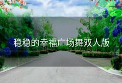 稳稳的幸福广场舞双人版