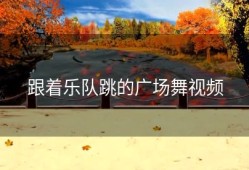 跟着乐队跳的广场舞视频