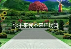 你不来我不来广场舞