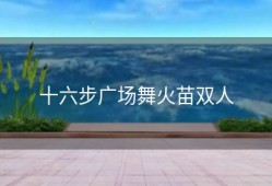 十六步广场舞火苗双人