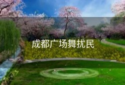 成都广场舞扰民