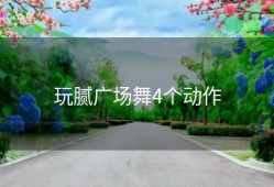 玩腻广场舞4个动作