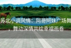 苏北小调风情：阿哥阿妹广场舞，舞动深情共绘幸福画卷