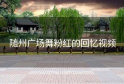 随州广场舞粉红的回忆视频