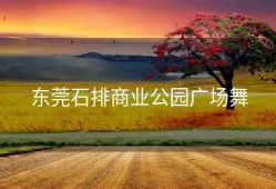 东莞石排商业公园广场舞