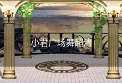 小君广场舞超清