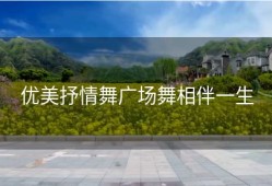 优美抒情舞广场舞相伴一生