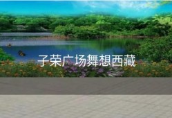 子荣广场舞想西藏