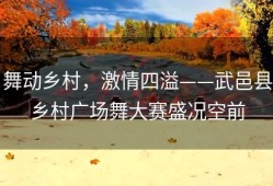 舞动乡村，激情四溢——武邑县乡村广场舞大赛盛况空前