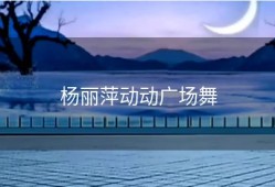 杨丽萍动动广场舞