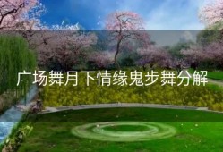 广场舞月下情缘鬼步舞分解