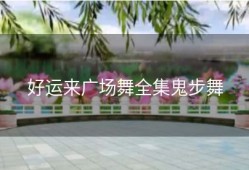 好运来广场舞全集鬼步舞