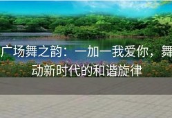 广场舞之韵：一加一我爱你，舞动新时代的和谐旋律