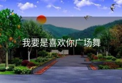 我要是喜欢你广场舞