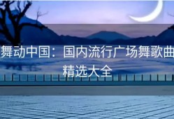 舞动中国：国内流行广场舞歌曲精选大全