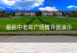 最新中老年广场舞背面演示