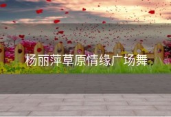 杨丽萍草原情缘广场舞