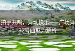 拍手共鸣，舞动快乐——广场舞32号曲魅力解析