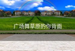 广场舞草原的你背面