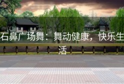 石鼻广场舞：舞动健康，快乐生活