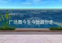 广场舞今生今世跟你走