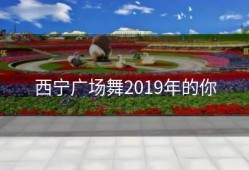 西宁广场舞2019年的你