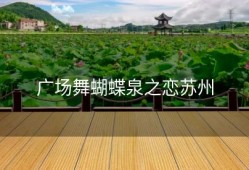 广场舞蝴蝶泉之恋苏州