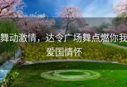 舞动激情，达令广场舞点燃你我爱国情怀